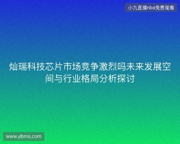 灿瑞科技芯片市场竞争激烈吗未来发展空间与行业格局分析探讨