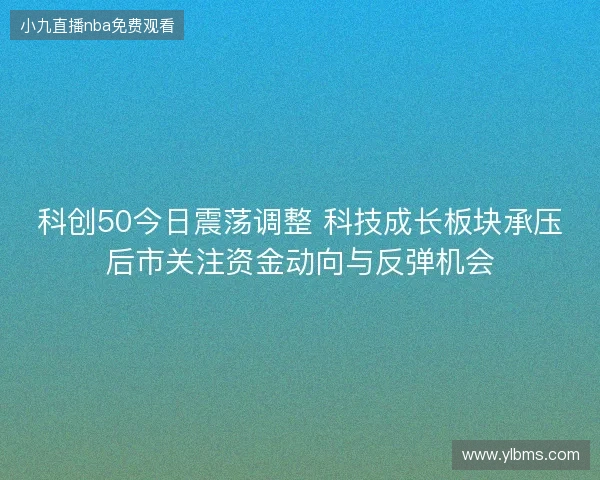 科创50今日震荡调整 科技成长板块承压后市关注资金动向与反弹机会